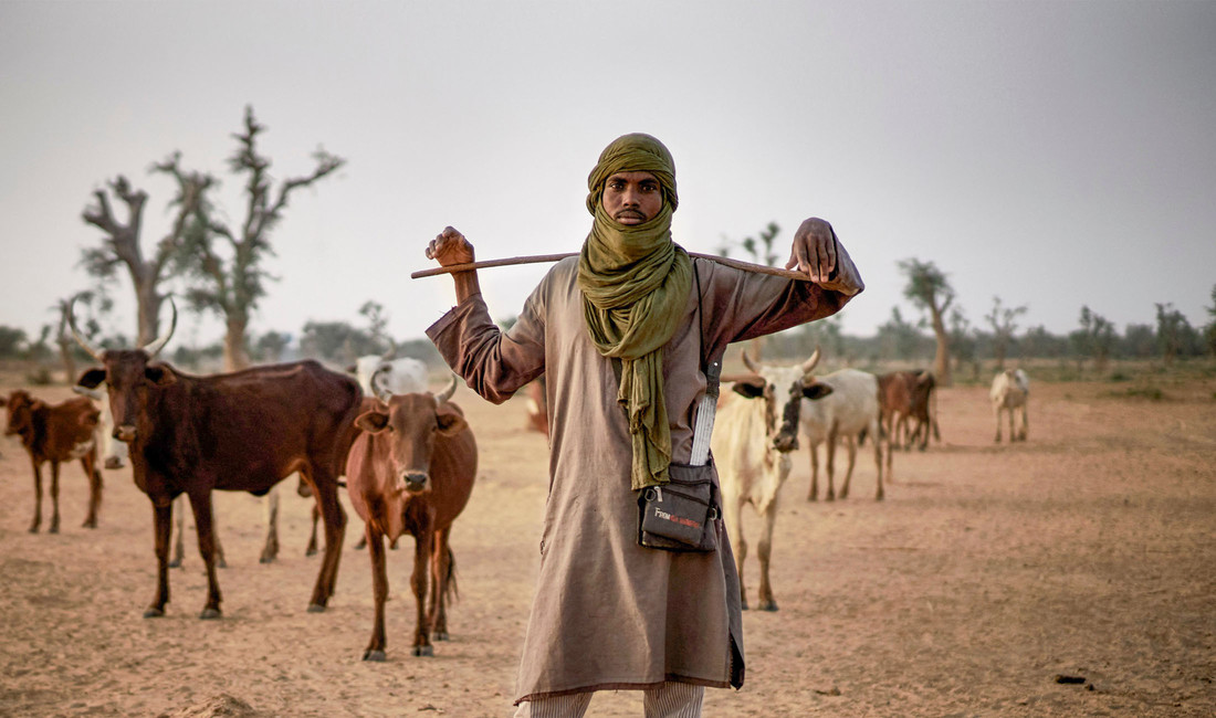 Ein Hirte vom Volk der Fulani steht in einer wüstenartigen Landschaft in Mali vor einer Herde magerer Kühe. Er trägt ein einfarbiges Gewand und ein Tuch als Kopfschutz gegen die Sonne.