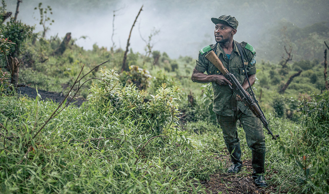 Afrikanischer Ranger mit Gewehr in grüner Uniform steht in einem Naturpark im Ostkongo.